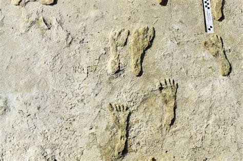 Further evidence points to footprints in New Mexico being the oldest sign of humans in Americas